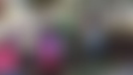 RESDIBA III - Strengthening of technical capacities to improve the water and sanitary service