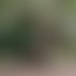 COVID-19 Update: Can we predict today the spread of transmission?