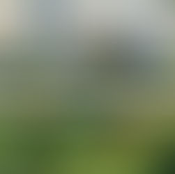 Two new publications on nature-based solutions published in PNAS