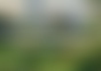 Dos nuevas publicaciones sobre soluciones basadas en la naturaleza publicadas en PNAS.