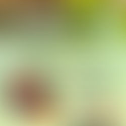 UNESCOSOST and ODACC Internacional: an alliance for virtual environmental training