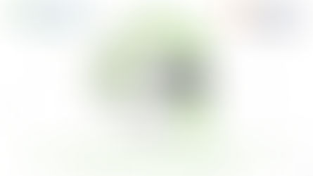 Circular cities and circular solutions in the built environment