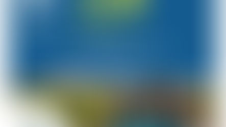 South - South Congress - Our own solutions