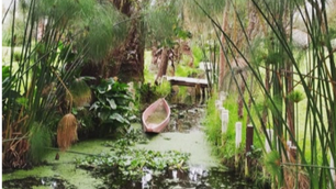 Recuperació de l'Aigua a Xochimilco, Mèxic