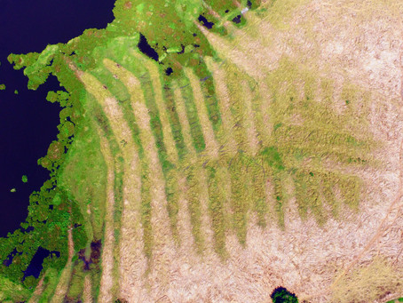 Foro Ecotecnologies Ancestrals per a l'Emergència Climàtica