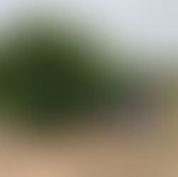 "SURENEXUS" Proyecto Europeo Sobre La Gestión Del Nexo Agua-Energía-Alimentos-Ecosistemas En La Región Mediterránea