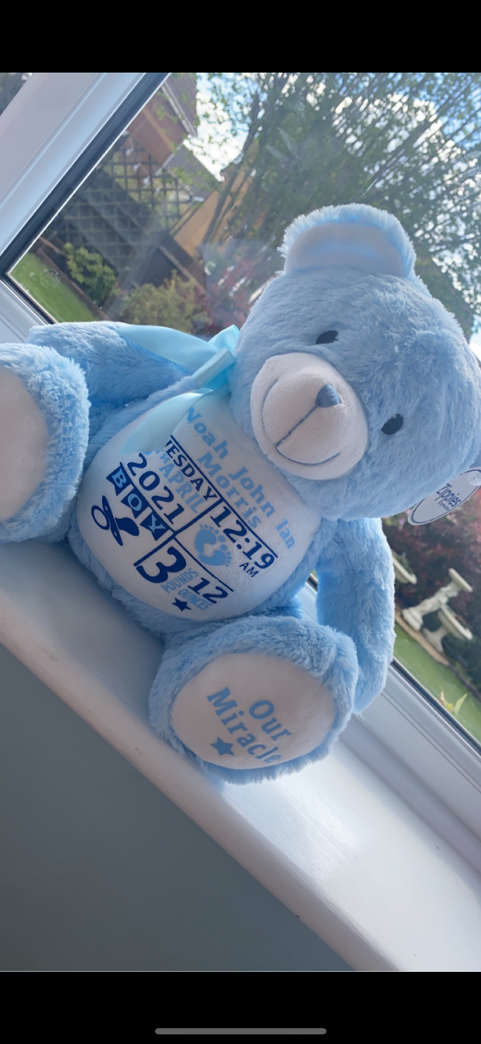 Thumbnail: Milestone Teddy