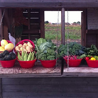 The Farm Stand