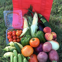 produce bag 1.jpg