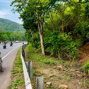 🦌 A Visitor Next to Vizag’s Highway