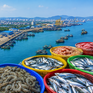 ⚓🌊 Vizag Port Emerges as India’s Seafood Gateway