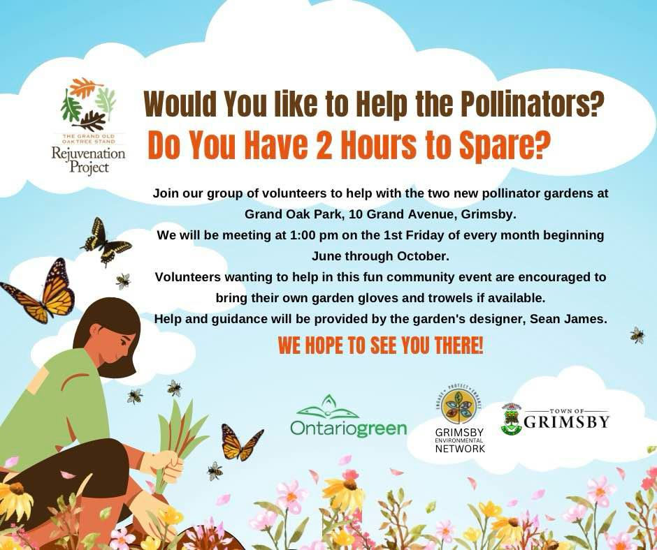 Grand Old White Oak Tree Stand Rejuvenation Project - Pollinator Garden Volunteer Event