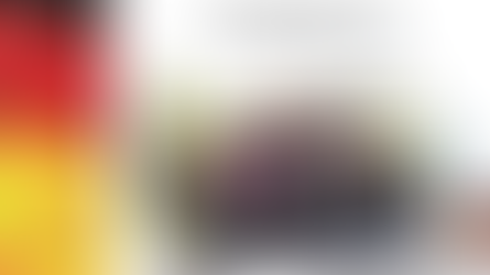 Receção à escola Max Planck Gymnasium - 2013/14