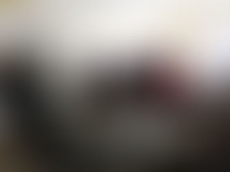 Delegação da Pakeman Primary School