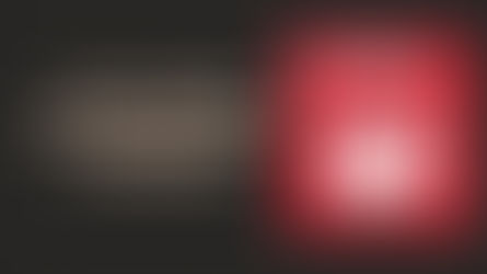 Dia Municipal para a Igualdade