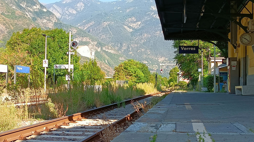 IMG20250816091918.jpg
