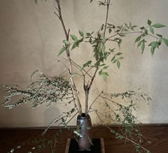 Grandma makes "koinobori" (carp streamer) decoration with her wish for grandson’s happiness. There is a carp-shaped streamer and a boy wearing a helmet, the symbol of the festival which was haMay 2024