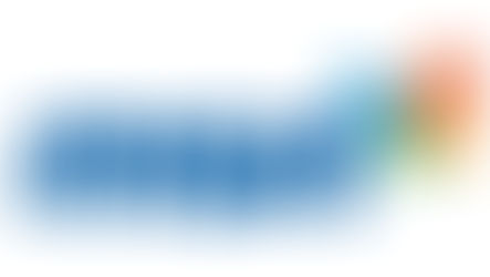 MSN Logo