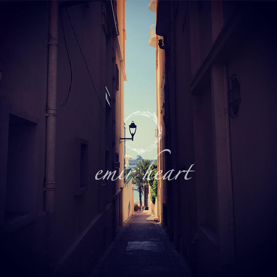 emir heart Inc.の理念、目標を説明します。