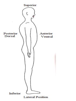 Scope Of Anatomy Physiology