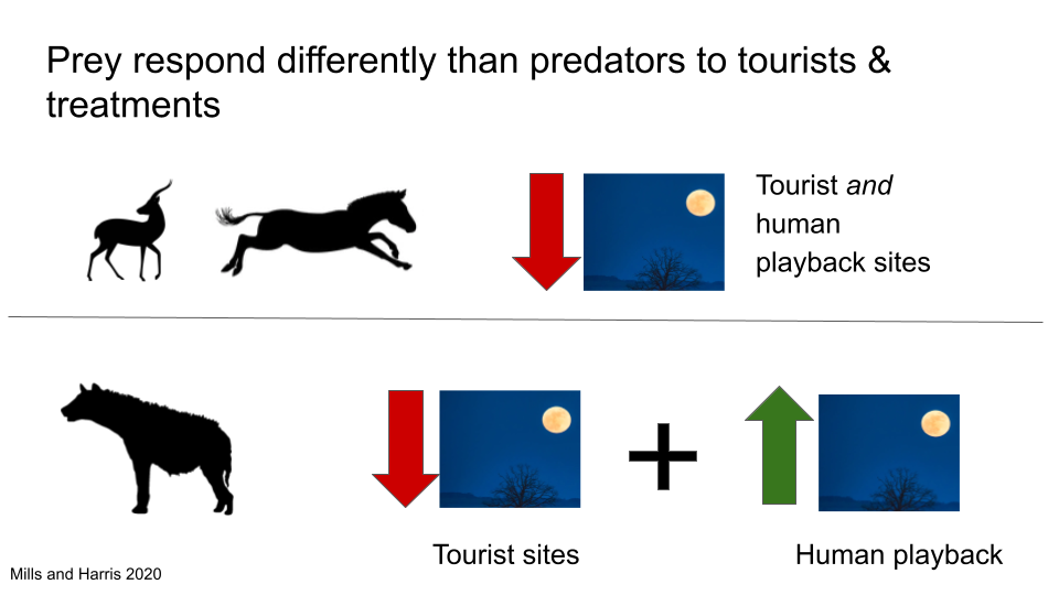 DEPARTMENT PRESENTATION.png