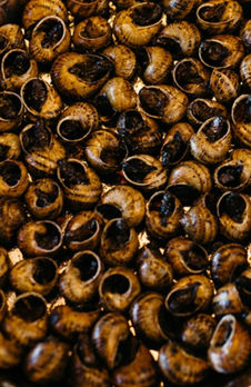 Casa _Petra_0208_edited.jpg