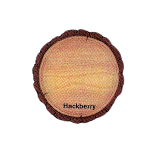 Hackberry.png