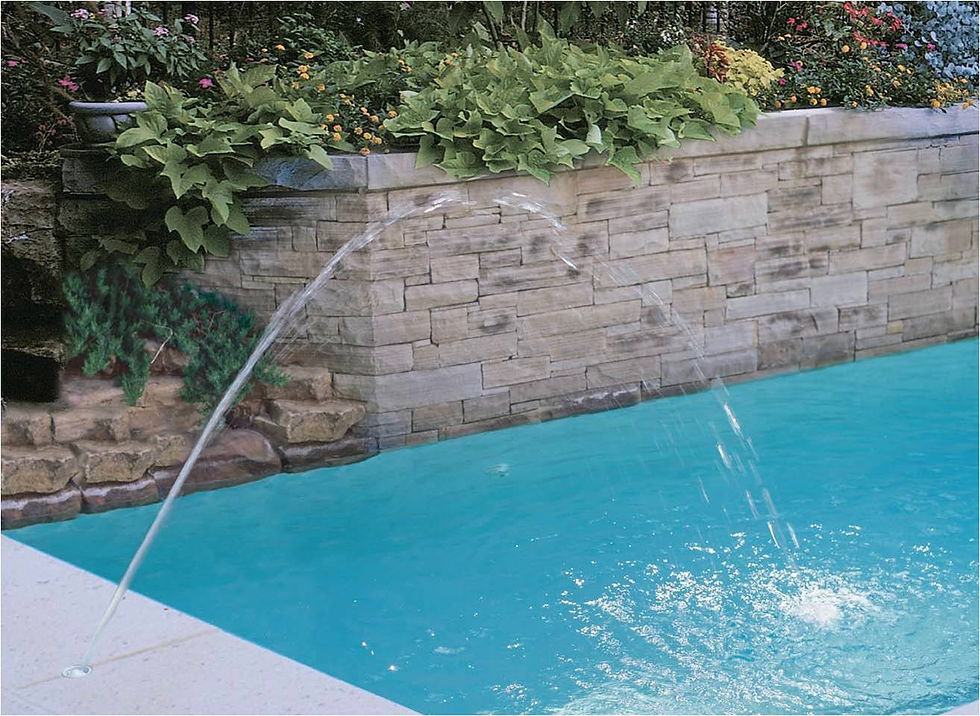 AMBIENTACION ALBERCAS