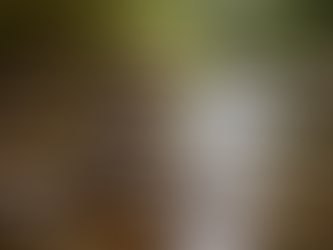 The Negativity Effect in Feedback and Relationships