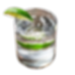 Gin Tonic