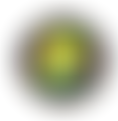 Gulf Cooperation Council (GCC), Greece discuss ways to enhance joint cooperation