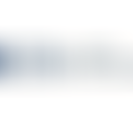 SPECIAL REPORT INVESTMENT ALTERNATIVES T+1 FUNDS IN PESOS MAY 2022