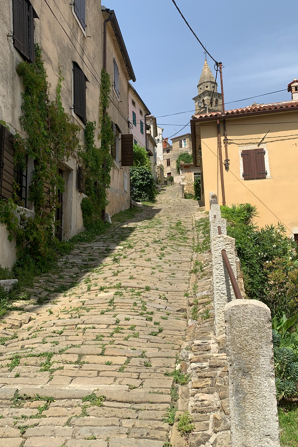 Steep cobblestone Motovun lane between old stucco houses, with vines on walls and a church tower under a blue sky.