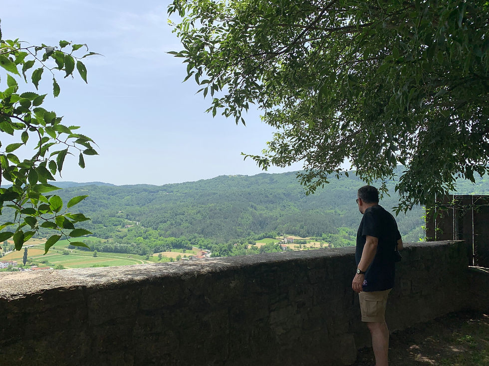 Man in a black shirt and tan shorts looks over a lush green valley and hills from a stone wall under leafy trees in Buzet Croatia.