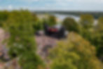Sviby_Viljandi_p2rimusmuusika_festival_photo_Taavi Bergmann.jpg