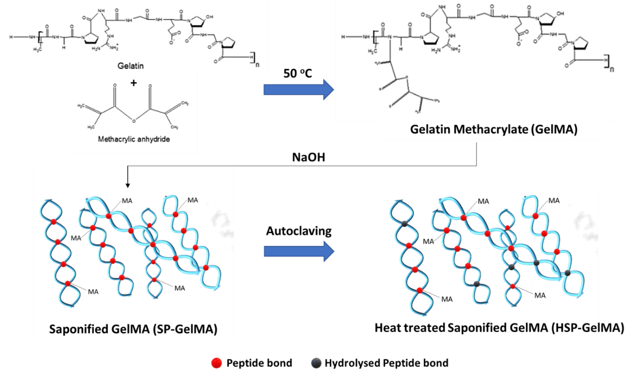Latest paper accepted in Journal of Materials Chemistry B