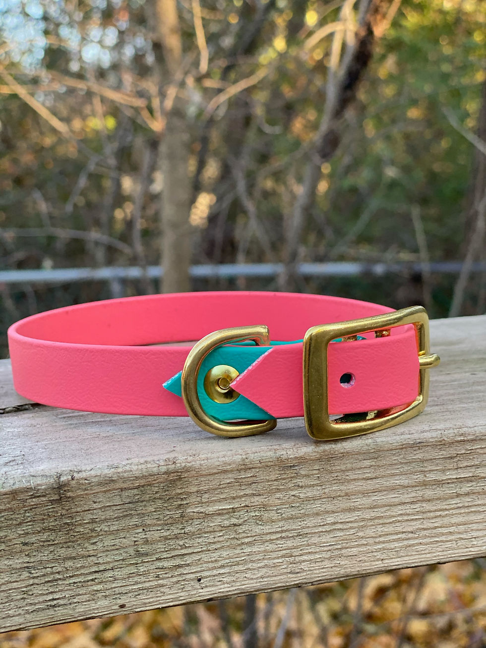 Thumbnail: The Original Two-Tone Collar