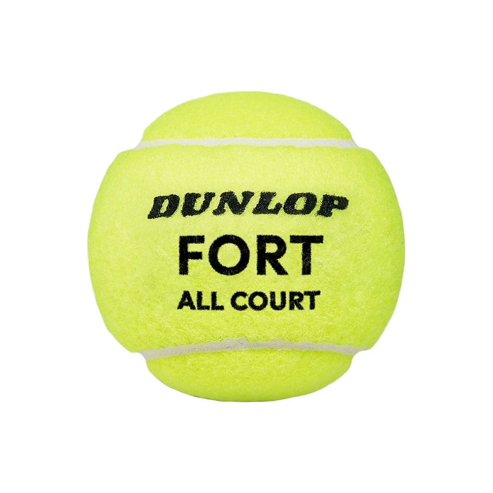 Dunlop Fort Tennis Ball 72 Balls