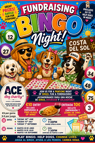 A3 POSTERS (1).png
