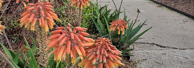 20191016_171031_edited_edited.jpg