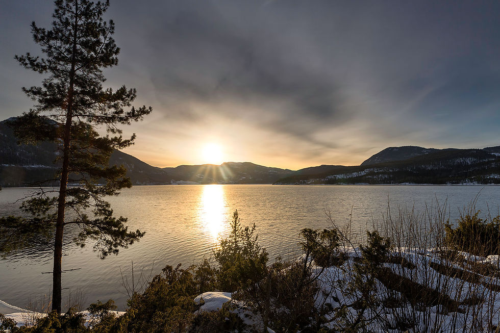 Freezing winter sun