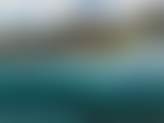 "Águas Rasas" - Instinto de Sobrevivência e Astúcia