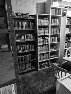 IMG-20220527-WA0014-01-01.jpeg