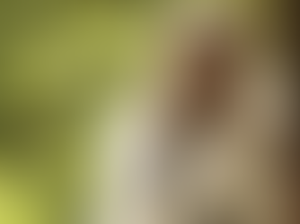 "As Linhas Tortas de Deus": A realidade é fixa?