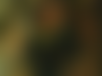 "Adão Negro": Um Passo para Frente, Outro para Trás