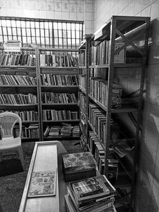IMG-20220527-WA0013-01-01.jpeg