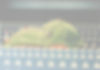 shima_01_edited.jpg