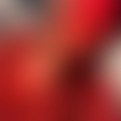 BBT Member Spotlight: December Member of the Month