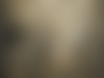 Collective Amnesia: On Forgotten Concepts 