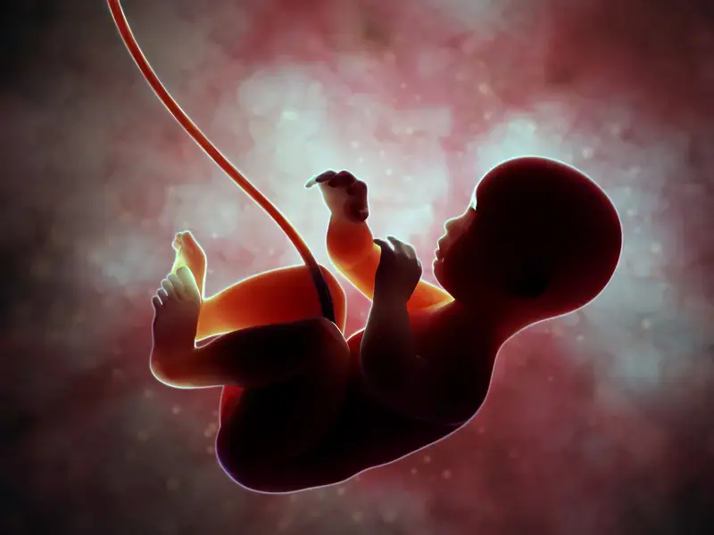 The first realm: life before birth, where the soul’s journey enters the mother’s womb and begins its passage into the world of moral responsibility.